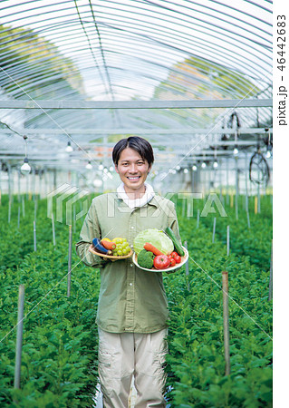 農業 男性 農業 男性 46442683