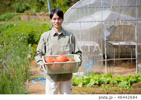 農業　男性 46442684
