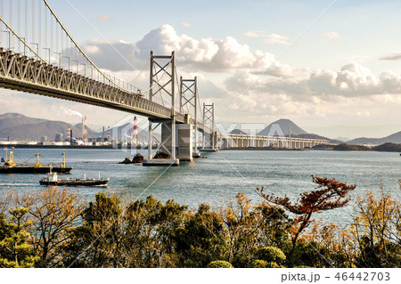 与島から瀬戸大橋 46442703