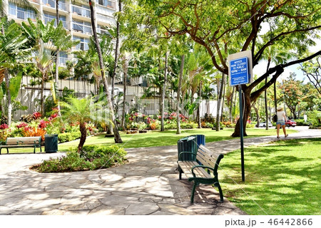 ハワイの休日 ハワイの休日 46442866