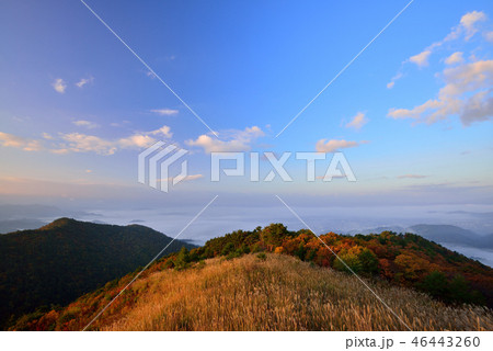 高ツムジ山の雲海 46443260