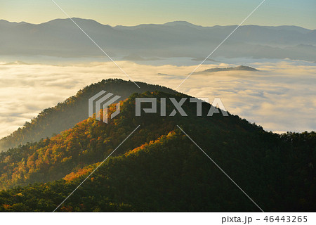 高ツムジ山の雲海 高ツムジ山の雲海 46443265