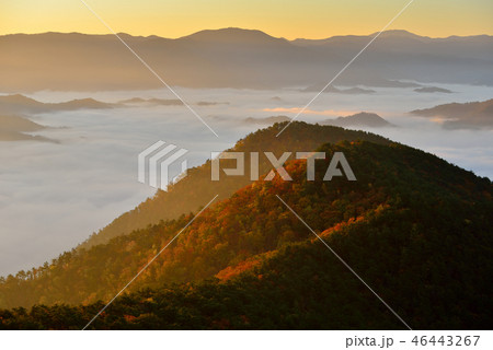 高ツムジ山の雲海 46443267