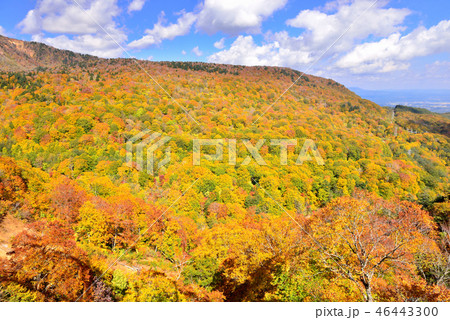 八幡平の紅葉 46443300