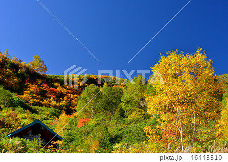 八幡平の紅葉 八幡平の紅葉 46443310