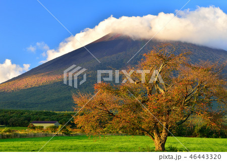 八幡平の紅葉 八幡平の紅葉 46443320