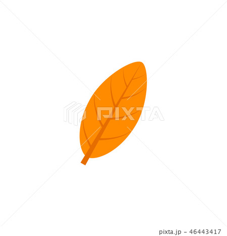 elliptic leaf flat icon elliptic leaf flat icon 46443417