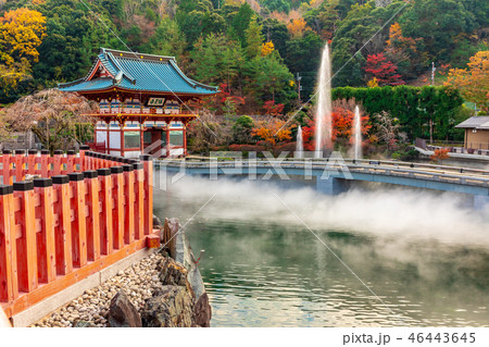 勝尾寺山門と水煙 46443645