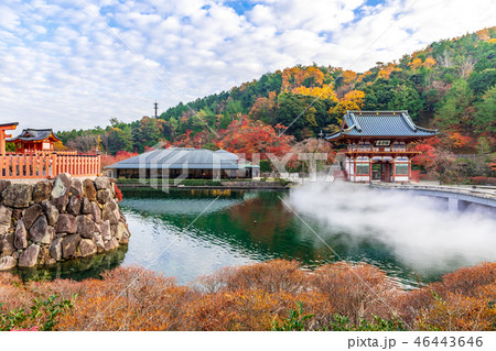 勝尾寺山門と水煙 勝尾寺山門と水煙 46443646