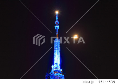 夜の福岡タワー　福岡県福岡市早良区シーサイドももち　ライトアップ期間中 46444539