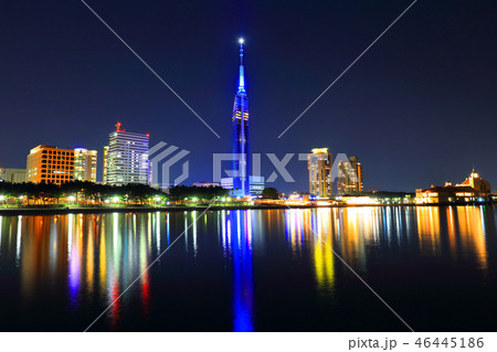 福岡市早良区シーサイドももちの風景　福岡タワー 46445186