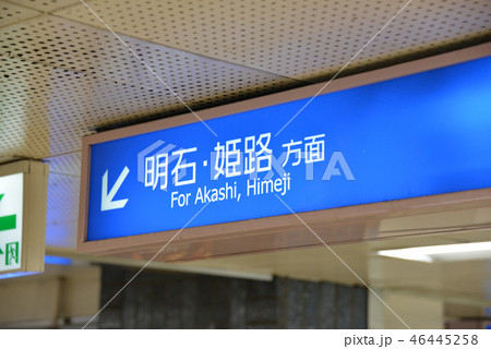 のりば案内 46445258