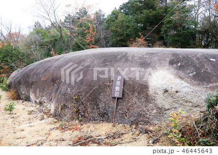 千畳敷岩 46445643