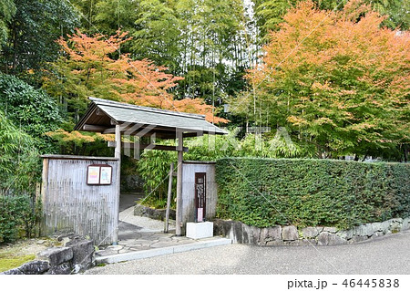 秋の丈山苑 詩泉閣 秋の丈山苑 詩泉閣 46445838