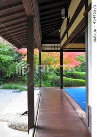 秋の丈山苑　詩泉閣 46445875