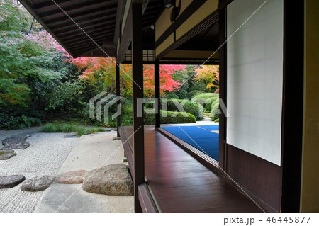 秋の丈山苑 詩泉閣 秋の丈山苑 詩泉閣 46445877