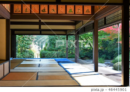 秋の丈山苑 詩泉閣 秋の丈山苑 詩泉閣 46445901