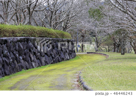 塘之池公園 冬景色 塘之池公園 冬景色 46446243
