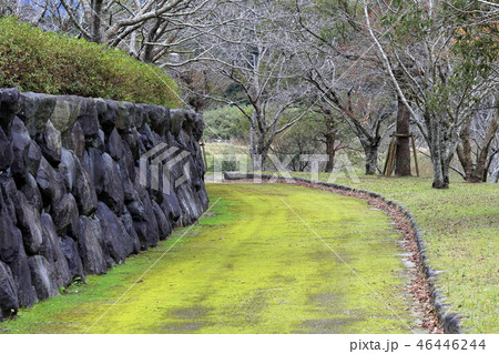 塘之池公園 冬景色 塘之池公園 冬景色 46446244