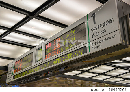 案内表示 46446261