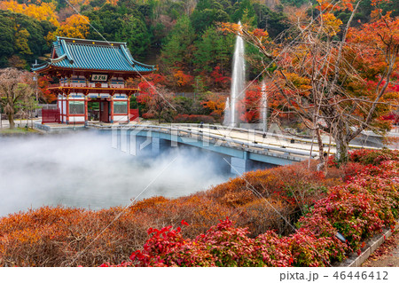 勝尾寺山門と水煙 46446412