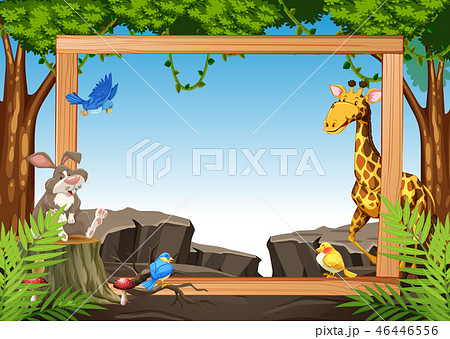 Wild animal on nature frame Wild animal on nature frame 46446556