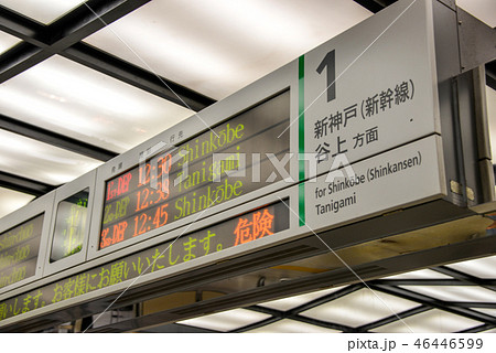 案内表示 案内表示 46446599