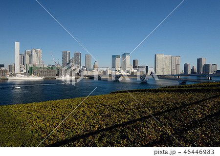 豊洲市場屋上からの風景 46446983