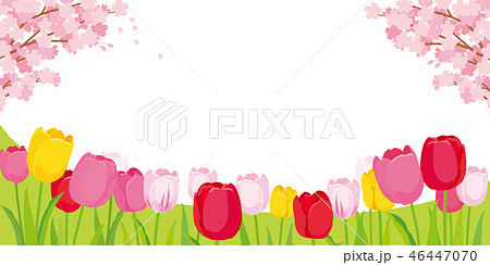桜とチューリップ 背景イラストのイラスト素材 46447070 Pixta