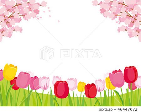 桜とチューリップ 背景イラストのイラスト素材
