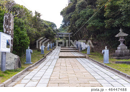 白兎神社参道 46447488