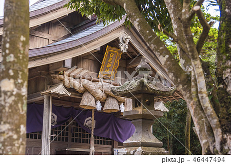 白兎神社 白兎神社 46447494