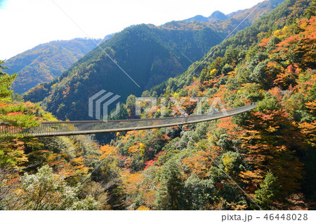 梅の木轟吊橋 46448028