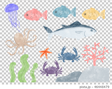 Sea creatures 46448479