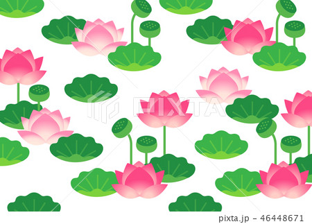 蓮のイラスト素材