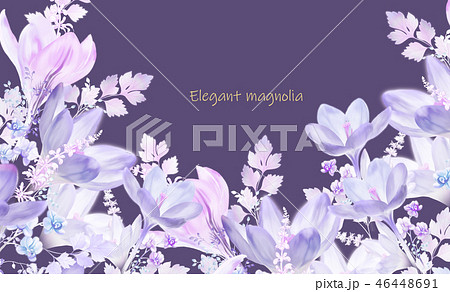 木蓮 モクレン 辛夷 46448691