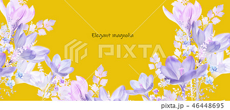 木蓮 モクレン 辛夷 46448695