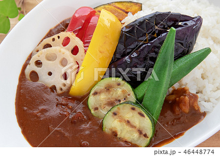 カレーライスの写真素材 46448774