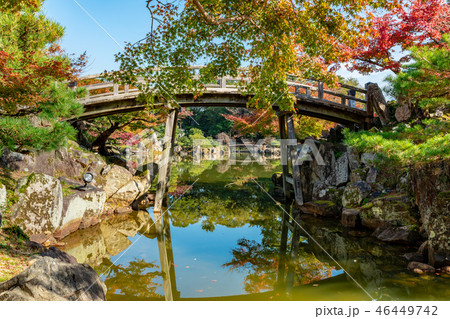 高橋　秋の玄宮楽々園　 46449742