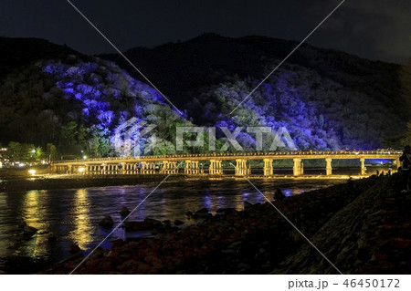 嵐山花灯路  嵐山花灯路  46450172