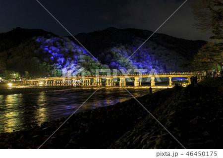 嵐山花灯路  嵐山花灯路  46450175