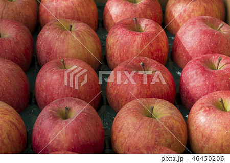 りんご　箱入り 46450206