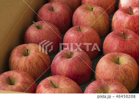 りんご 箱入り りんご 箱入り 46450208