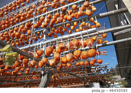 ころ柿　あんぽ柿 46450585