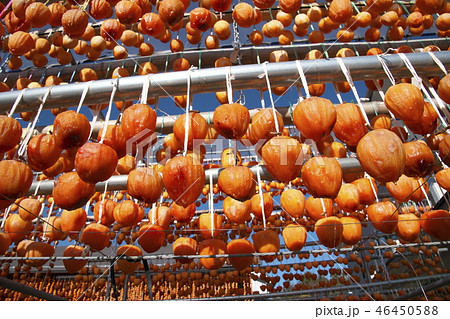 ころ柿　あんぽ柿 46450588