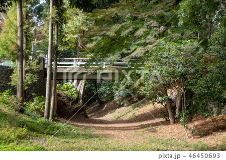 どろぼう橋と濠　喜多院境内　埼玉県川越市 46450693