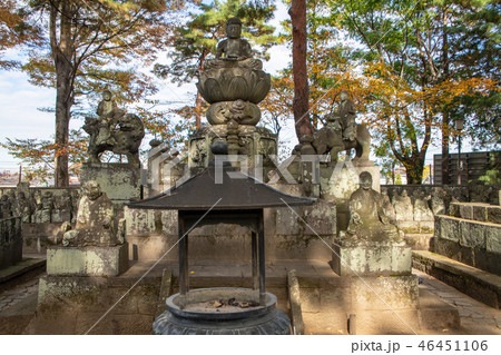 五百羅漢 喜多院 埼玉県川越市 五百羅漢 喜多院 埼玉県川越市 46451106