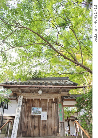 十輪寺 46451713