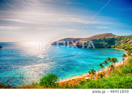風景 ビーチ 海 46451850