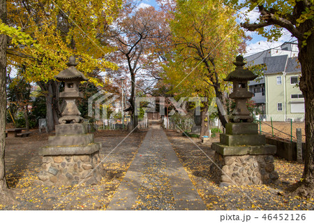 浮島稲荷神社 埼玉県川越市 浮島稲荷神社 埼玉県川越市 46452126